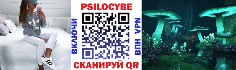 Псилоцибиновые грибы Magic Shrooms  хочу   МЕГА ССЫЛКА  Лосино-Петровский 